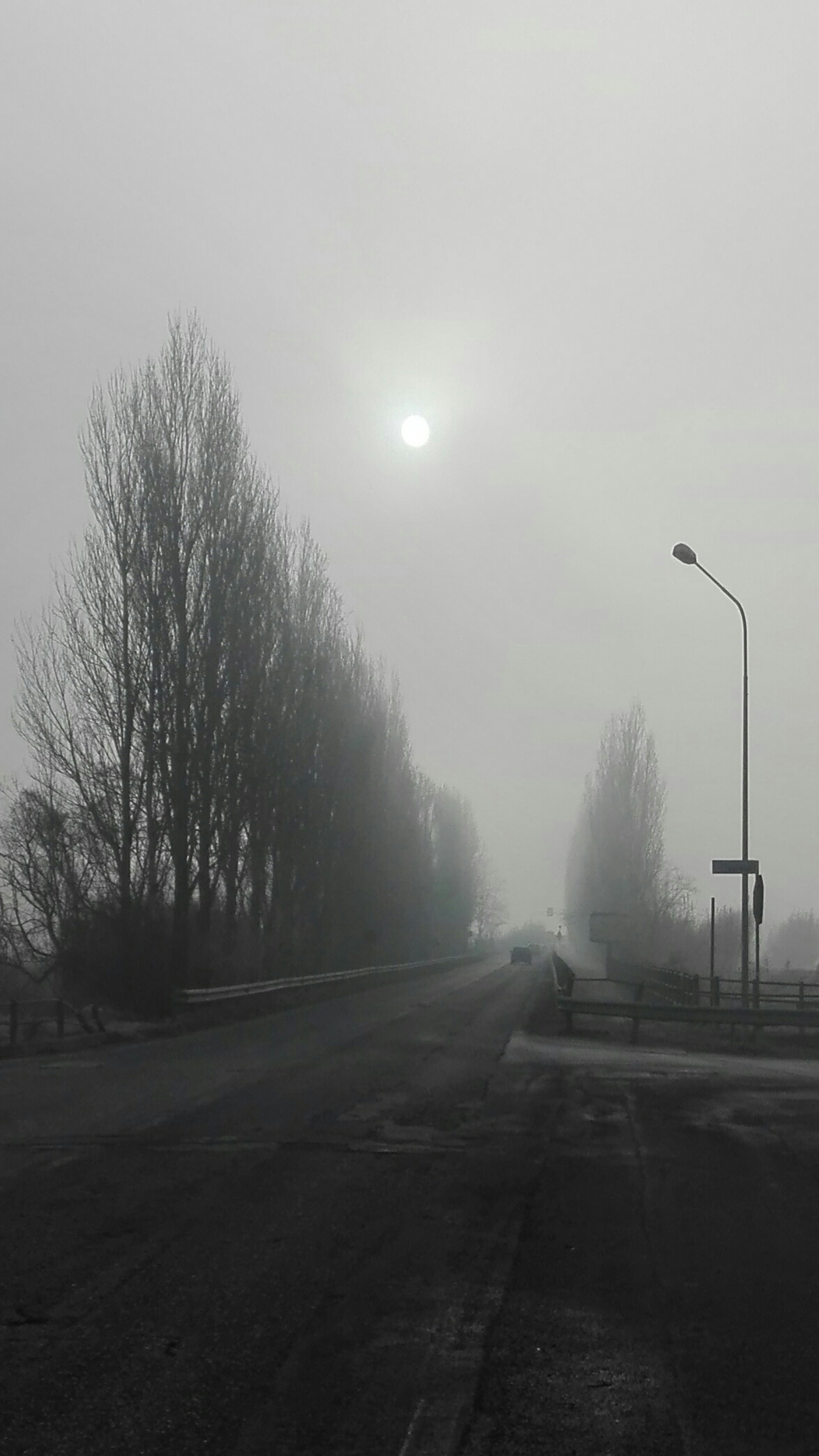 Il sole buca la nebbia a gennaio in viale Forlanini, visto dal Sanatorio Borsalino.