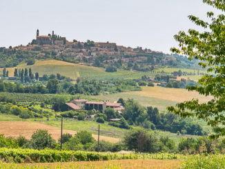 B&B Monferrato Vignale - Belcasale Bed and Breakfast