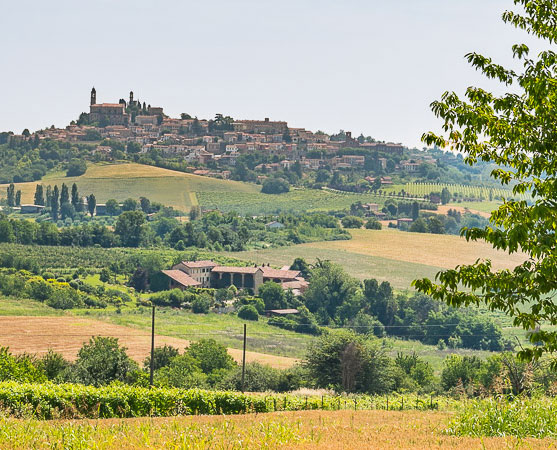 B&B Monferrato Vignale - Belcasale Bed and Breakfast